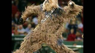 I Did It All For The Wookie - Limp Bizkit 