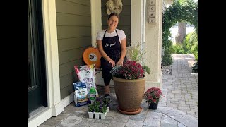 Let's Grow: Seasonal Container Garden Refresh ENGLISH GARDENS
