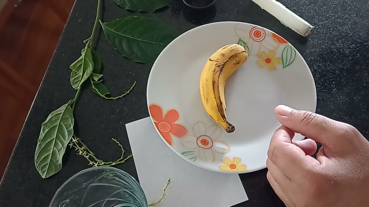 VOCÊ VAI SER A PESSOA MAIS RICA DA SUA FAMÍLIA