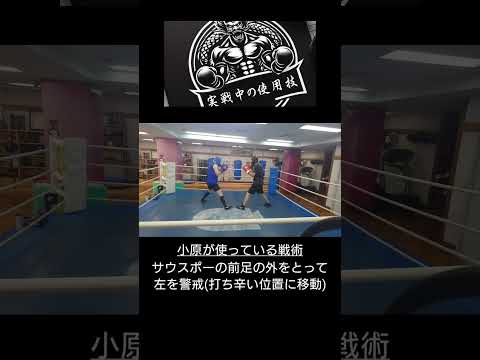 【2-3】実戦中の使用技
