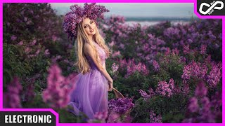 The Chainsmokers & ILLENIUM - Takeaway (Nolan van Lith Remix) | [Infinite Music]