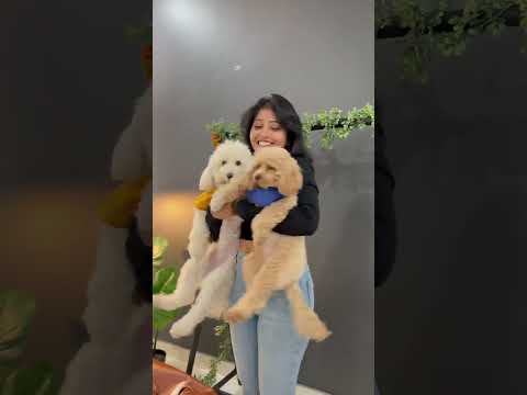 #kristenravali #youtubeshorts