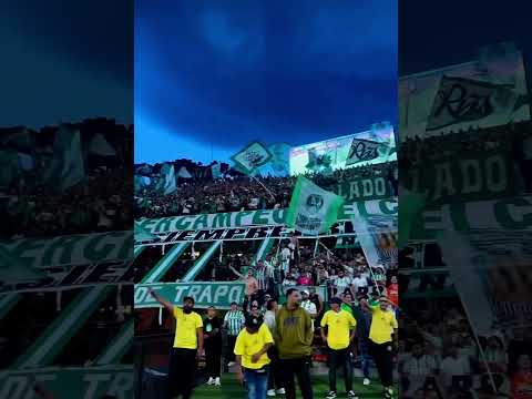 "Fecha 2 - Liga 2025-II: Nacional 3-1 equidad / Señores somos sureños, aguardienteros y cerveceros" Barra: Los del Sur &bull; Club: Atlético Nacional &bull; País: Colombia