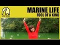 MARINE LIFE - Fool Of A Kind [Official] 