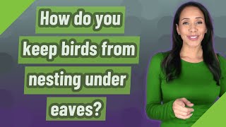 How do you keep birds from nesting under eaves?