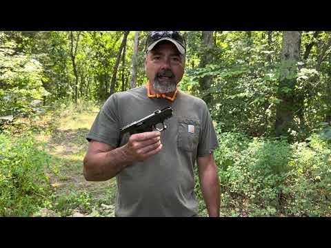 Kel Tec p17 update