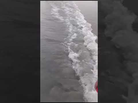 Inky Fingers, Happy Hearts: travel  with ARFA t #beach #themove #weekend #travelvlog #sea #seaside