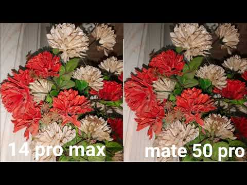 iPhone 14 pro max vs Huawei mate 50 pro camera test