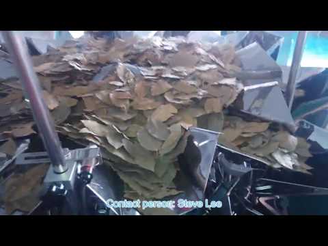 download lagu mp3 mp4 Bayleaf Cleaning Ltd, download lagu Bayleaf Cleaning Ltd gratis, unduh video klip Bayleaf Cleaning Ltd