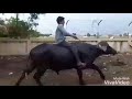 Hath Ma Chhe Whiskey Jignesh Kaviraj Gujarati Song Raghav Digital