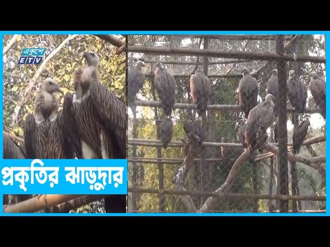 শকুন উদ্ধার ও পরিচর্যা কেন্দ্র
