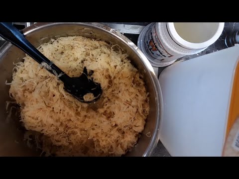 Johnny Zahngold – SAUERKRAUT (We want BraWeiSau!) / Deutsche Party Schlager 2021 / Musik Video