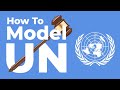 Model UN: Everything You Need to Know