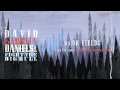 David Karsten Daniels & Fight the Big Bull - On Fields