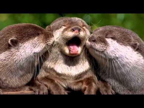 The Graham Norton Show S18E09 Johnny Depp, Benedict Cumberbatch