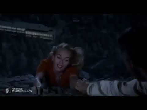 An Animal's Life Part 14 - The Robin Hood Act