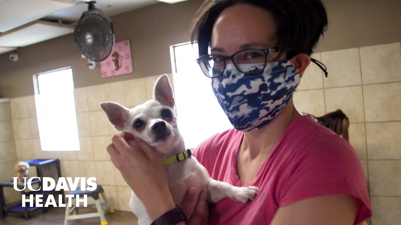 Thumbnail preview of    Skip navigation Search    Create  9+  Avatar image Employee with Autism Finds Perfect Fit at Doggy Daycare | UC Davis MIND Institute