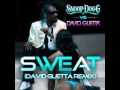 Snoop Dogg ft David Guetta - Wet official song + ...