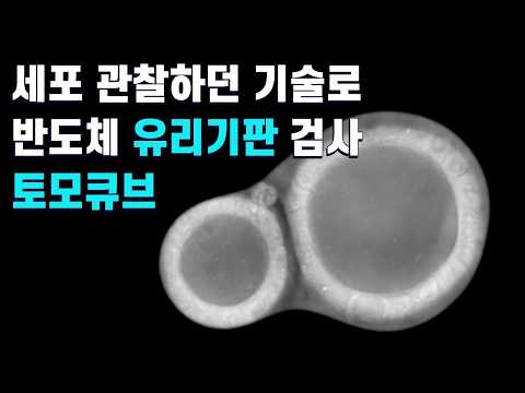 유리기판 불량을 확신하는 가장 확실한 방법