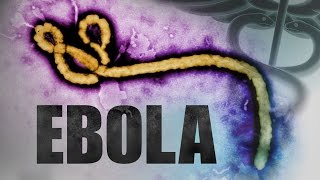 Ebola symptoms 2014 facts US OUTBREAK Things they don&#39;t want you to know