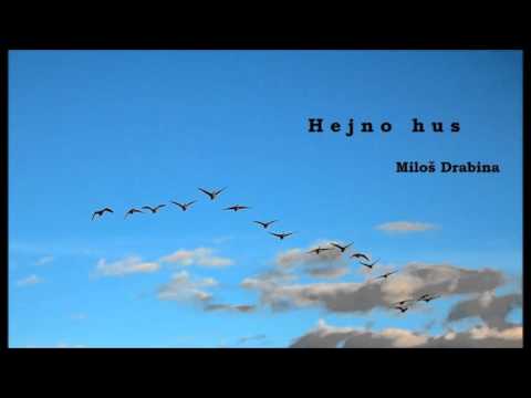 Miloš Drabina - Hejno hus - Miloš Drabina