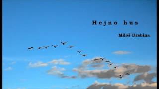 Video Hejno hus - Miloš Drabina