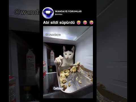 Abi sildi süpürdü 😂 😂 😂 @cat.boss___