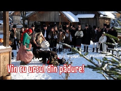 Străjerii Bucovinei / Marius Zgâianu - Vin cu ursul din pădure!