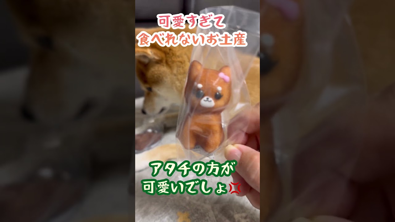 可愛すぎるお土産#豆柴フィナンシェ　#LEGACE COFFEE