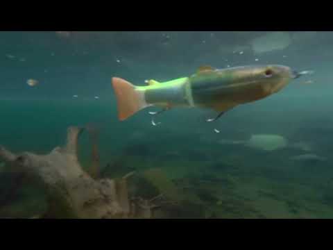 Action video of deps Slide Swimmer 250 & 175 Shudder Tail