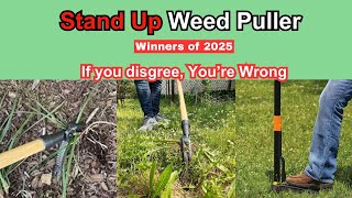Best Stand Up Weed Puller- Winners of 2025