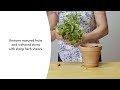 Click&amp;Grow Vaisių ir daržovių mišinys 9 vnt.