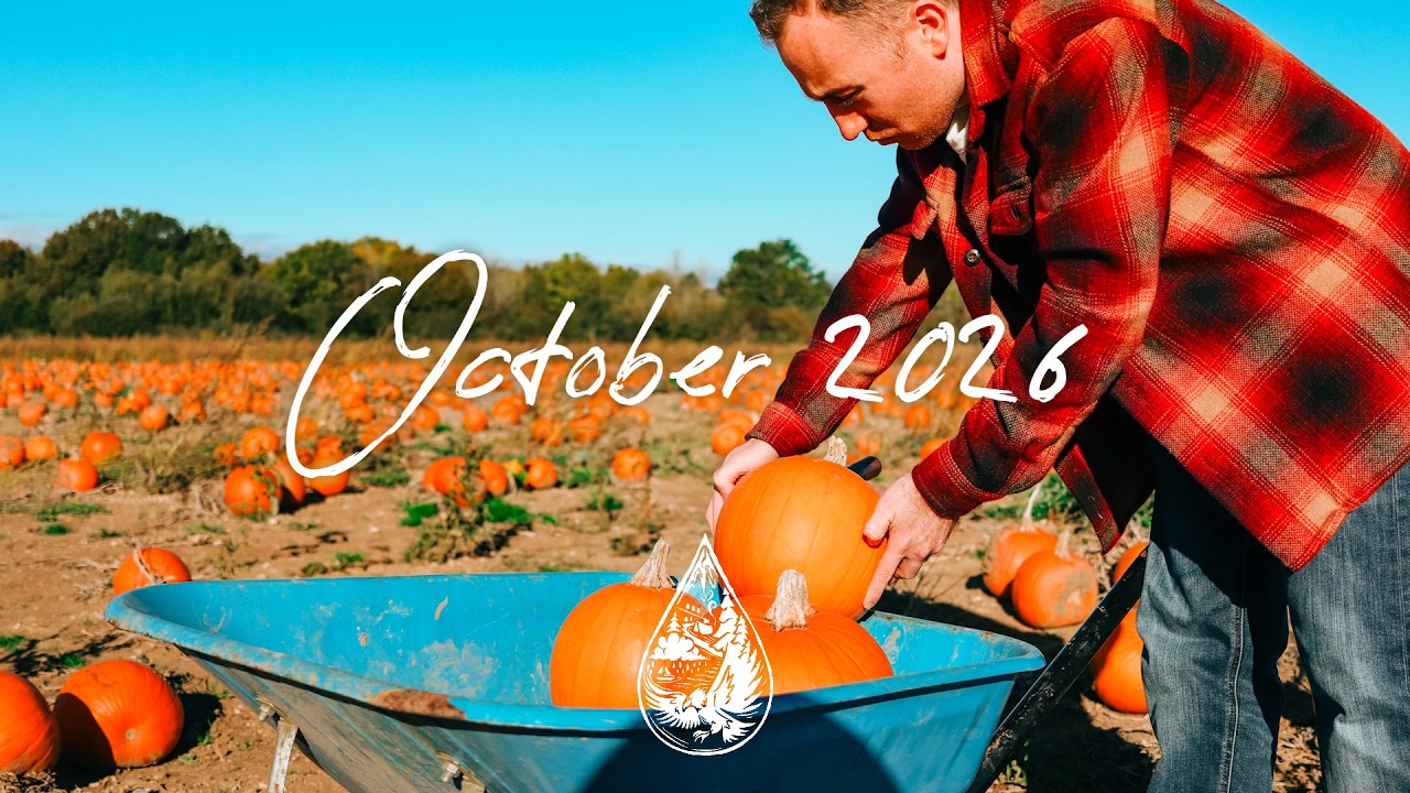Indie/Rock/Alternative Compilation • October 2026 🎃 (new discoveries | 1.5-hour playlist)