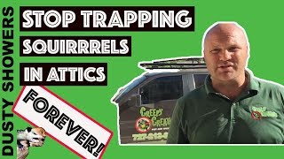 Stop Trapping Squirrels In Attic