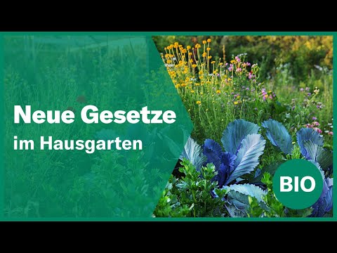 Hausgarten: Neue Regeln für Bienen, Regen & Pflanzen!