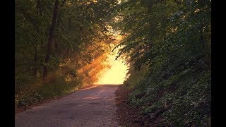 It&#39;s time to come home!