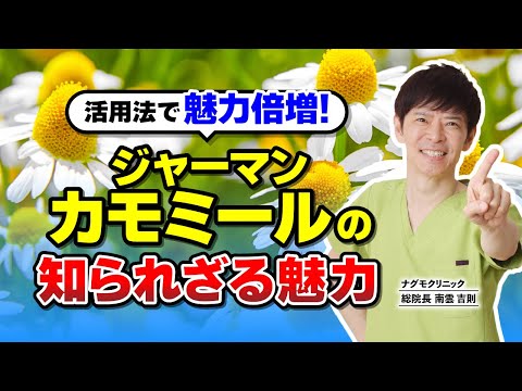 カモミールティーの作り方、使い方、効果 植物