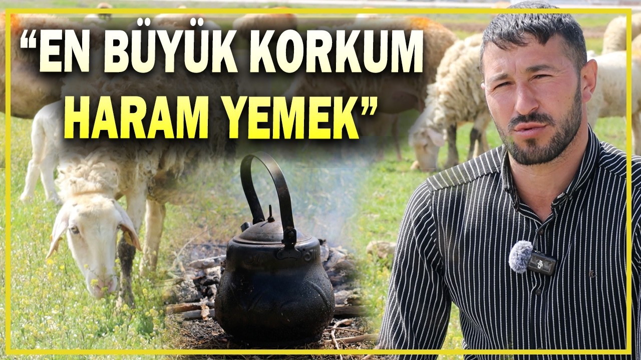 "Kuzular Üçüz Doğmasın!" Afyonlu Çoban Ali Acar'dan Hayvancılık Sırları... 200 Koyundan Kaç Kuzu Alınır?