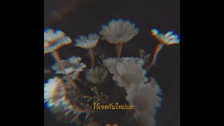 ไว้เจอกันใหม่นะ JUNENOM (จูนน่อม)