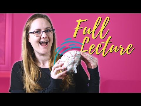 Increased Intracranial Pressure ICP | Med-Surg Nursing Lecture