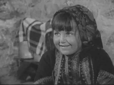 Пејачи и песни - Александар Сариевски