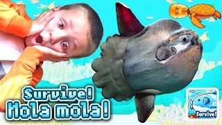 Dad & Chase play SURVIVE! MOLA MOLA!   |  a Doofy Fish Adventure   (iOS Face Cam Gameplay)