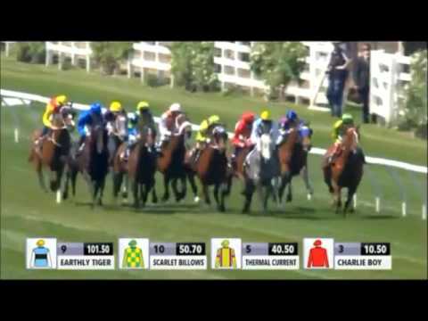 Chautauqua Gilgai Stakes 2015