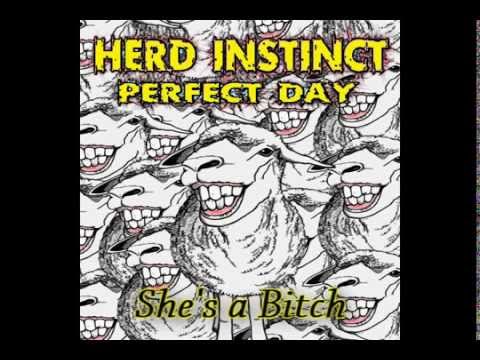 Herd Instinct - Perfect Day EP