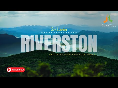 Riverston & Knuckles Conservation Forest | Sri Lanka