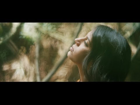 Me liberé - Maria Cristina Plata & Guafa Trío