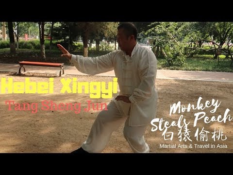 download lagu mp3 mp4 Hebei Style Xingyiquan, download lagu Hebei Style Xingyiquan gratis, unduh video klip Hebei Style Xingyiquan