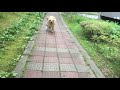 IMG 4084