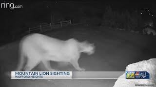 Wofford Heights resident spots mountain lion in home surveillance video