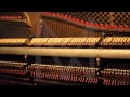 Thomas Giles Modern Noise Teaser 